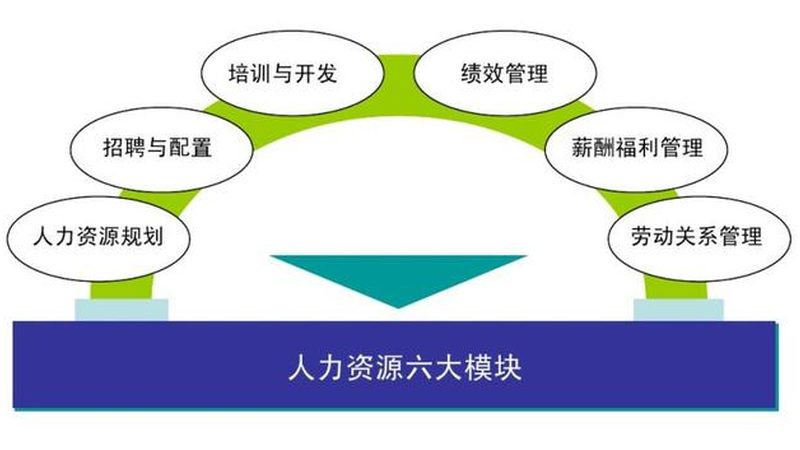 RPO招聘专员：揭秘适合的性格特质