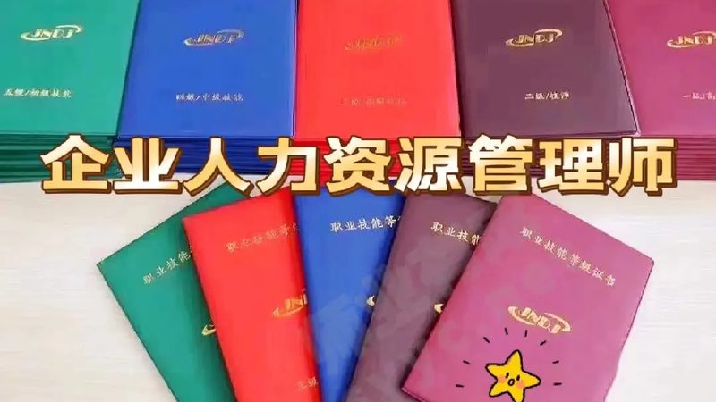 定制化人事外包方案：构建合规高效的人力资源体系**